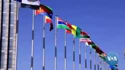 African Union Plans to Launch Continental Credit Rating Agency