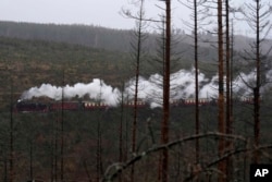 Kereta uap melewati hutan 'Harz', yang dirusak oleh kumbang kulit kayu, dekat gunung Brocken setinggi 1.142 meter (3.743 kaki) di Drei Annen Hohne, Jerman, Kamis, 21 Desember 2023. (AP/Matthias Schrader )