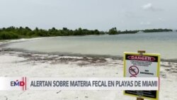 Prohíben playas de Miami ante contaminación por materia fecal 