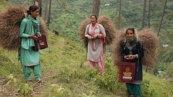 In India, Women Craft Pine Needles Into Income, Save Forests