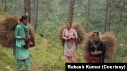 صنوبر کے پتوں کو اکٹھا کرکے ان سے ہاتھ کی مصنوعات تیار کرنے والا خواتین کا ایک گروپ