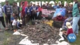 ပြည်ပမျိုးရင်းငါးအန္တရာယ်ကြုံနေရတဲ့ မလေးရှား
