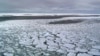 Antarctic Winter Sea Ice Hits 'Extreme' Record Low 