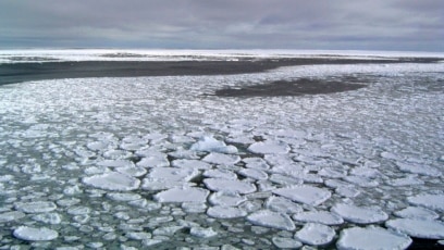 Winter Sea Ice in Antarctica Reaches Record Low