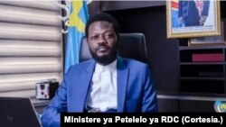 Moussa Mondo, Vice-Ministre ya kala ya Petelelo ya ekolo Congo democratiki