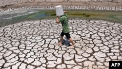A man carries a plastic bucket across the cracked bed of a dried-up pond in Vietnam's southern Ben Tre province on March 19, 2024.
