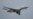 US seizes plane used by Venezuela's Maduro, citing sanctions violations