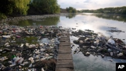 FILE - A swan stands between dumped plastic bottles and waste at the Danube river in Belgrade, Serbia, on April 18, 2022. (AP Photo/Darko Vojinovic)