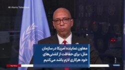معاون نماینده آمریکا در سازمان ملل: برای حفاظت از کشتی‌های خود هرکاری لازم باشد می‌کنیم