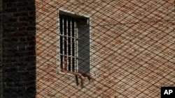 An inmate looks out from a window at Pinero jail in Pinero, Argentina, April 9, 2024.