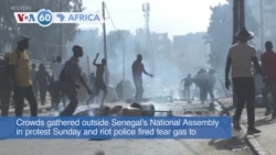 VOA 60: Senegalese Protest Macky Sall Election Postponement and More