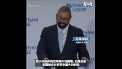 英国外交大臣呼吁改革多边体系 
