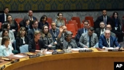 Linda Thomas-Greenfield, United States Ambassador to the United Nations, center front, votes against a resolution concerning a ceasefire in Gaza during a Security Council meeting at United Nations headquarters, Feb. 20, 2024.