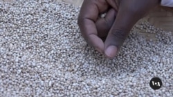 Kenyan Entrepreneur Makes Snacks from Indigenous Grains