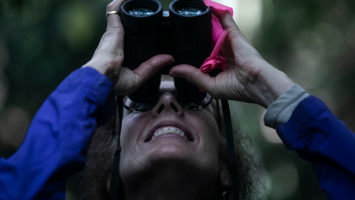 Researcher Celebrates 40 Years of Protecting Rare Brazilian Monkeys