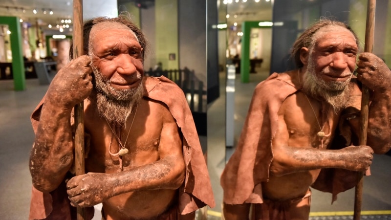 Humans Reached Northern Europe in Time of Neanderthals 