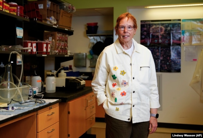 Dr. Nora Disis, director of the UW Medicine Cancer Vaccine Institute, Thursday, May 25, 2023, at the institute's campus in Seattle. (AP Photo/Lindsey Wasson)