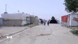 لە کەمپەکانی کۆچبەران لە دەشتی نەینەواو و پارێزگای دهۆک بە دەگمەن دار و سەوزایی دەبینرێن