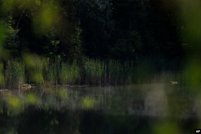 Grass is reflected in water at Crawford Lake in Milton, Ontario, on Friday, July 7, 2023. (Cole Burston/The Canadian Press via AP)