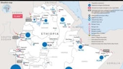 በአውላላ የስደተኞች መጠለያ ጣቢያ ጥቃት ሁለት ሱዳናውያን ተገደሉ