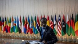 Farafina kelenyatɔnba ka tɔnba ɲɛmɔgɔw ka lajɛba daminɛ na sibiridon Addis-Abeba