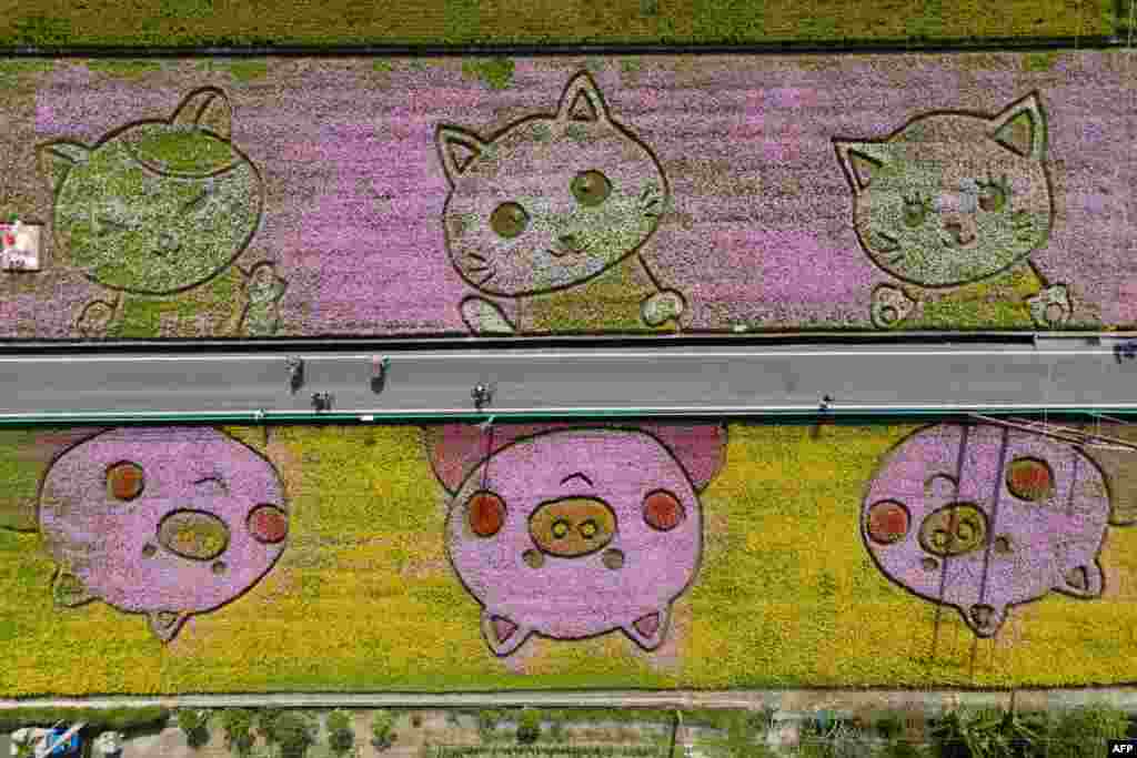 An aerial view shows visitors walking past flower patterns during a flower festival in Taoyuan, Taiwan.