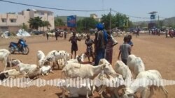 Segou Seliba -kerecɛnw ni silamɛw bɛ seli kɛ ɲɔgɔn fɛ cogo min na