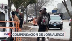 Migrantes recién llegados afectan la remuneración de jornaleros en Chicago