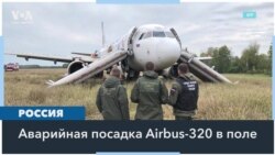 Российский пассажирский самолет экстренно сел в поле в Новосибирской области 