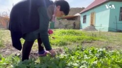 Ukraynadan gələn azərbaycanlı: "Azərbaycanda bizə qaçqınlıq vermirlər"