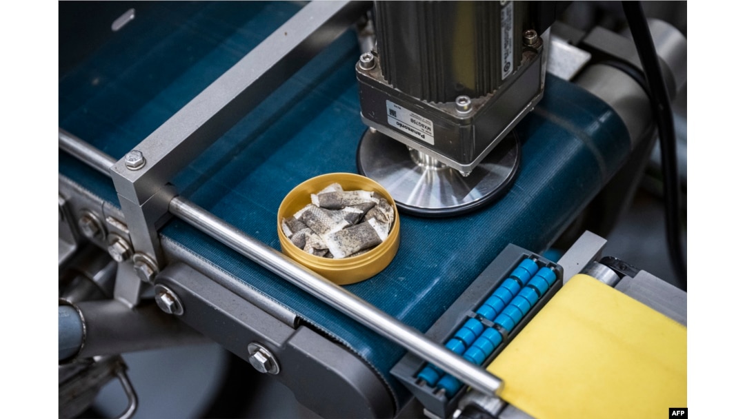 This picture shows the Swedish Match production line of portion snus, a smokeless tobacco product that is placed under the upper lip, in the company's factory in Gothenburg, Sweden, Oct. 17, 2023.