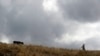 [Archivo] Las plagas que podrían llegar a las diferentes regiones del Perú podrían afectar grandemente los cultivos, a los ganaderos y a la salud pública. En la imagen una mujer lleva su vaca por un campo en Pisac, zona rural del sur de Perú, el viernes 30 de octubre de 2020.
