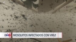 Detectan virus del Nilo en Las Vegas