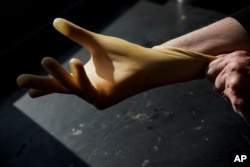 Katrina Cornish, a professor at Ohio State University who studies rubber alternatives, models a medical glove made from latex produced from the desert guayule bush, in Wooster, Ohio, Tuesday, February 6, 2024. (AP/Joshua A. Bickel)