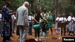 Britain's King Charles plants a tree with Karen Kimani, 10, during a visit to the Karura urban forest during a state visit to Kenya in Nairobi, Nov. 1, 2023.