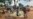 Rights Groups Call for Sudan War Crimes Investigation