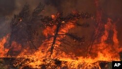 Flames burn a forest in Vati village, on the Aegean Sea island of Rhodes, southeastern Greece, on July 25, 2023.
