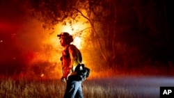A firefighter passes flames burning along West Dry Creek Rd. in Healdsburg, California, June 16, 2024. 