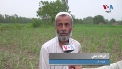 کروندګر وايي په وفاقي بجټ کې ورته ډېر کم مراعات اعلان شوي