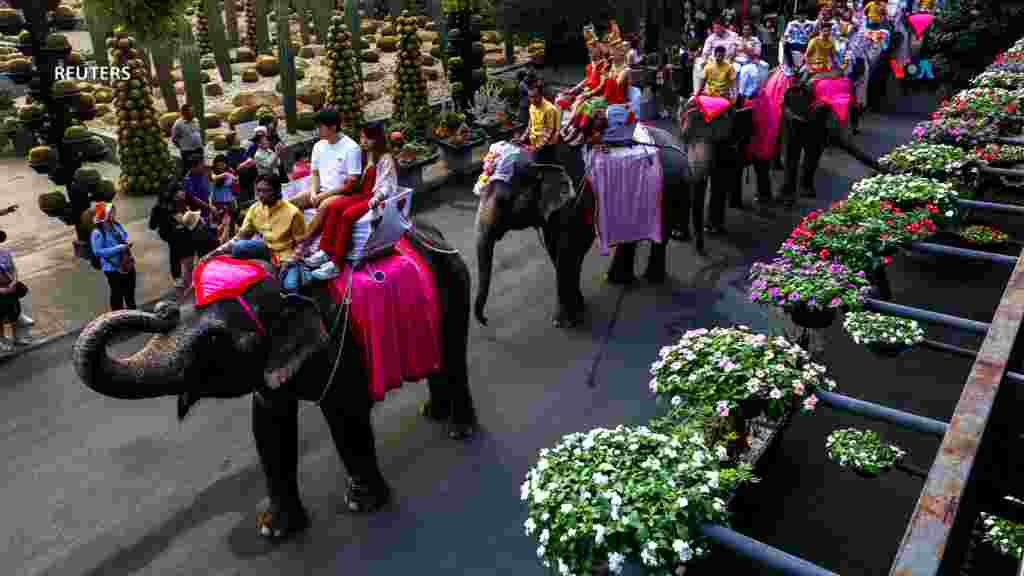 Las parejas viajan en elefantes durante la celebración de San Valentín, en el Jardín Tropical Nong Nooch en Chonburi, Tailandia. [Reuters]