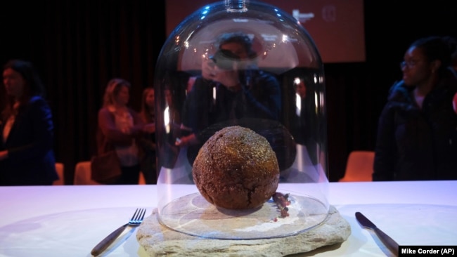 A meatball made using genetic code from a mammoth is seen at the Nemo science museum in Amsterdam, Tuesday March 28, 2023. (AP Photo/Mike Corder)