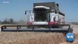 Russia Threatens Ukraine Grain Deal Termination Over Reported G-7 Export Ban 
