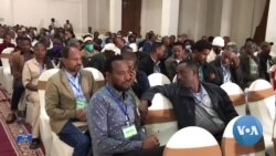 በትግራይ ክልል የሚቋቋመውን ጊዜያዊ አስተዳደር ዓረና ተቃወመው