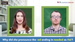 Everyday Grammar TV: Past Tense -ed with Taylor Swift