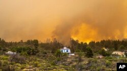 A burning forest fire close to homes, near Puntagorda on the Canary Island of La Palma, July 15, 2023. Spanish authorities have preemptively evacuated people to avoid a wildfire.