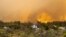 A burning forest fire close to homes, near Puntagorda on the Canary Island of La Palma, July 15, 2023. Spanish authorities have preemptively evacuated people to avoid a wildfire.
