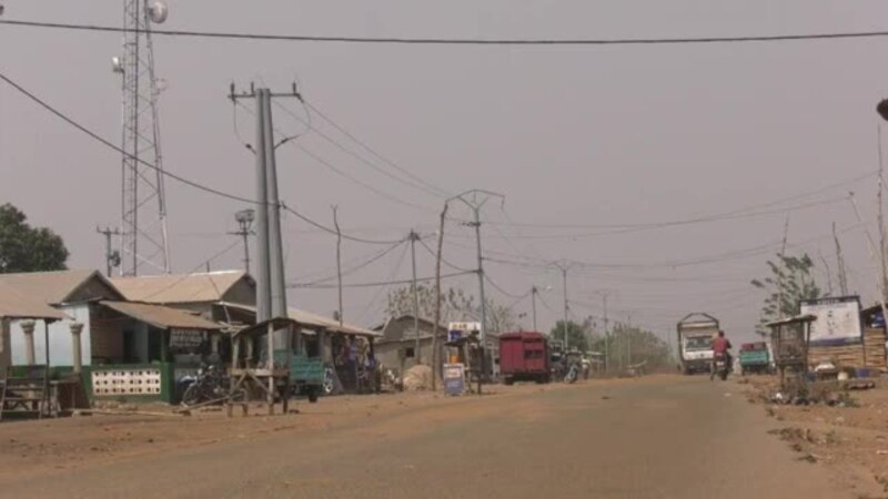 L'aquaculture en plein essor avec l'élevage de tilapias au Togo