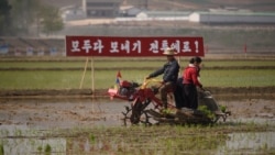 FAO, 북한 19년째 ‘외부 식량지원 필요국’ 지정”