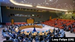 Заседание Совета Безопасности ООН по Украине. Архивное фото. 