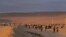 FILE - Migrants walk through the desert on the border between Chile and Peru, near Arica, Chile, May 2, 2023.
